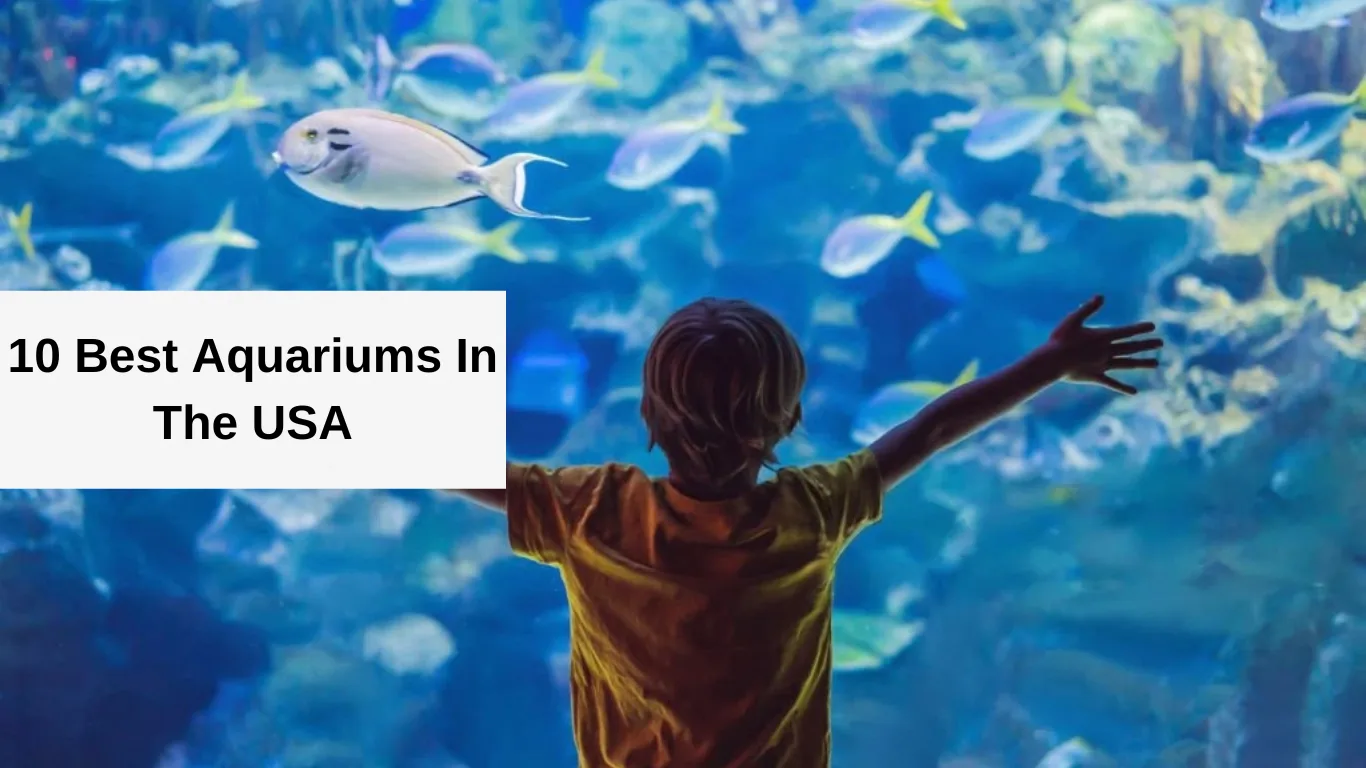 best aquariums in the USA