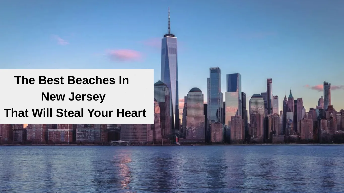 best beaches in new jersey