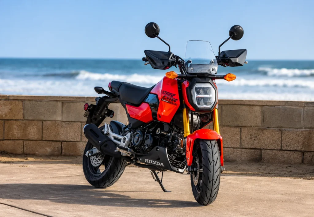 Honda grom fronview